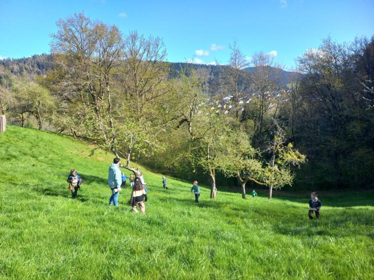 Kinder und eine erwachsene Person bewegen sich zwischen Obstbäumen auf einer sonnigen, grünen Streuobstwiese.