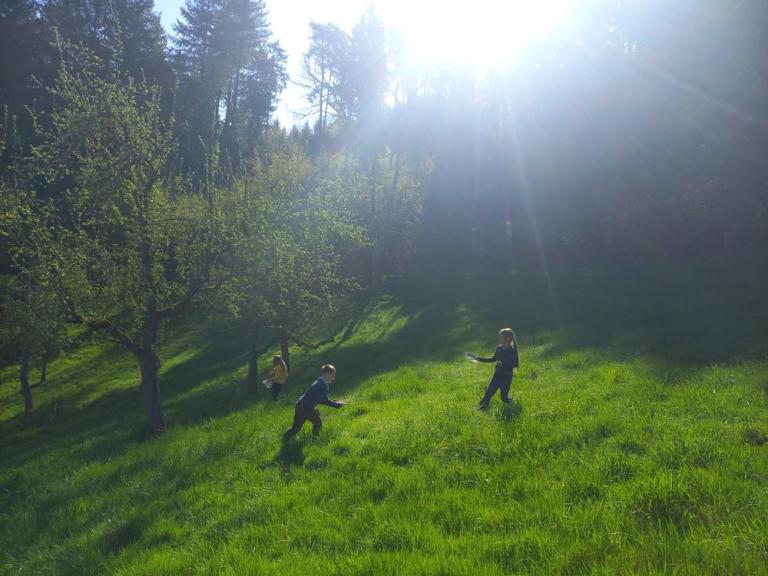 Drei Kinder laufen mit kleinen Behältern über eine sonnige Streuobstwiese zwischen Obstbäumen; im Hintergrund liegt ein Waldrand.