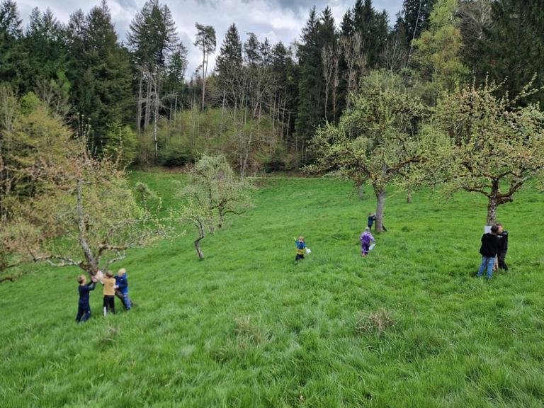 Mehrere Kinder und eine erwachsene Person stehen verteilt auf einer grünen Streuobstwiese zwischen blühenden Bäumen; im Hintergrund ist ein Waldrand unter bewölktem Himmel zu sehen.